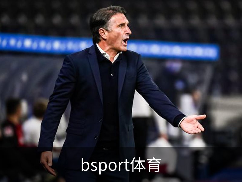 bsport体育简介